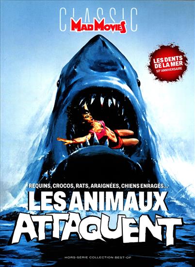 surf-session-preview