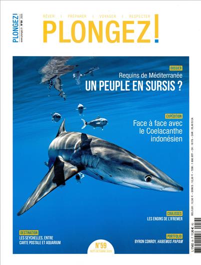 surf-session-preview