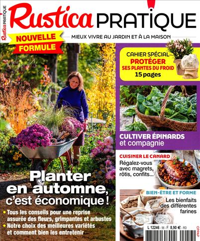 surf-session-preview