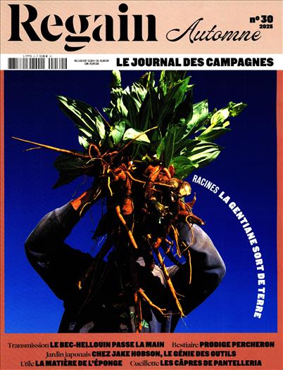 surf-session-preview