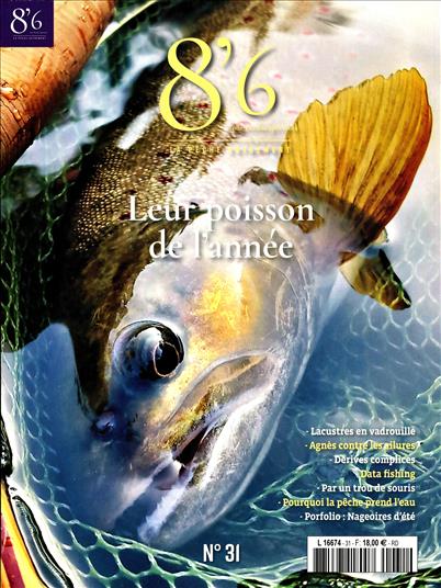 surf-session-preview