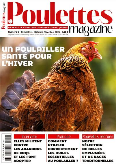 surf-session-preview