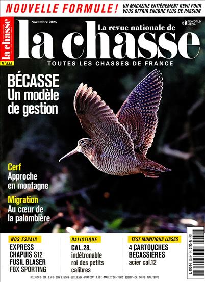 surf-session-preview