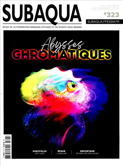 surf-session-preview