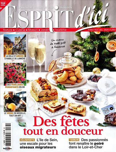 surf-session-preview