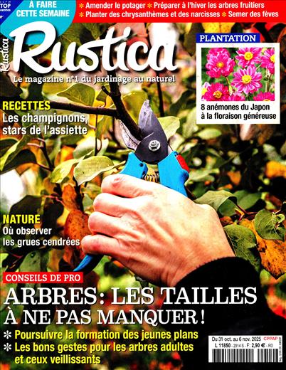 surf-session-preview