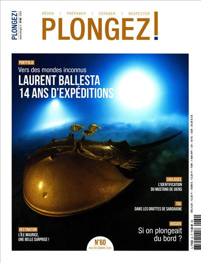 surf-session-preview