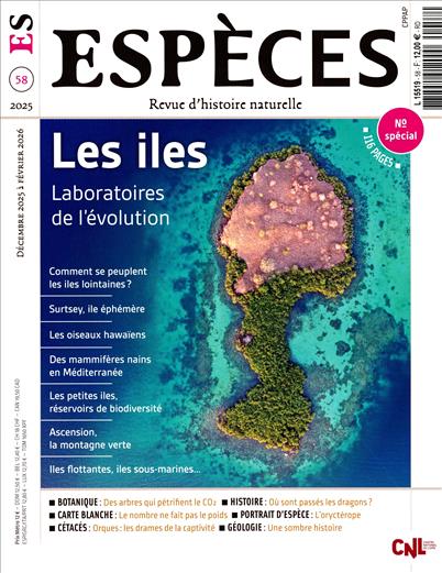 surf-session-preview