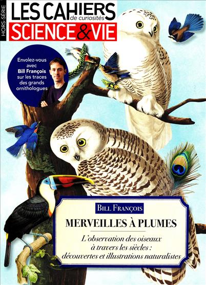 surf-session-preview