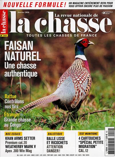 surf-session-preview