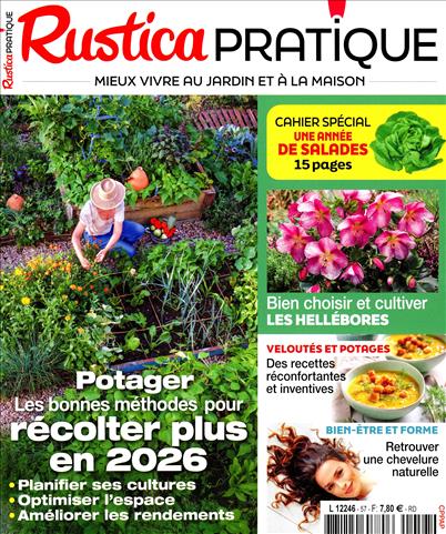 surf-session-preview