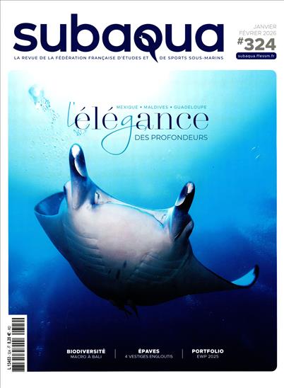 surf-session-preview