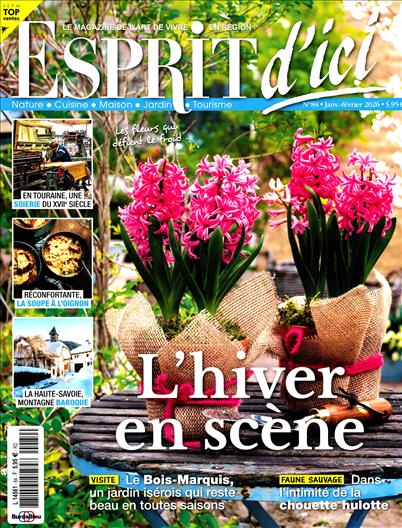 surf-session-preview