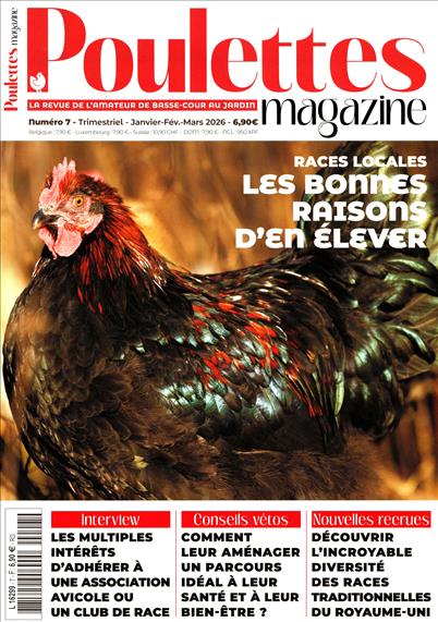 surf-session-preview