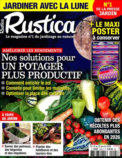 surf-session-preview