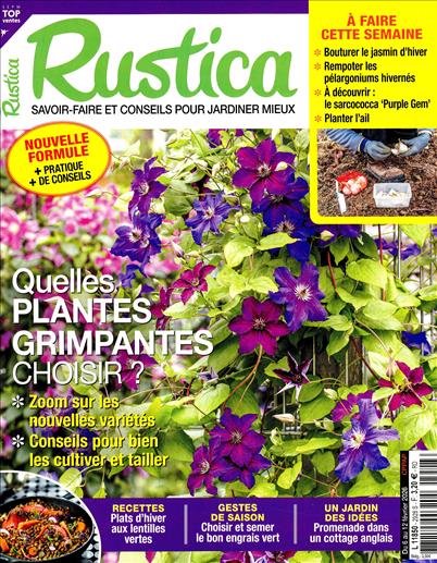 surf-session-preview