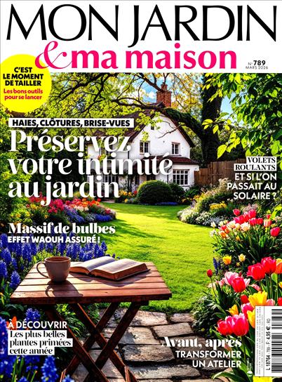 surf-session-preview