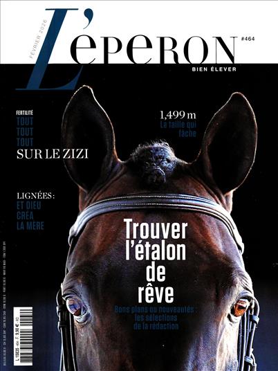 surf-session-preview