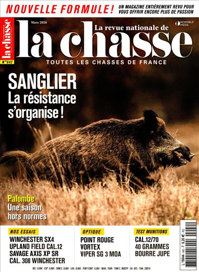 surf-session-preview