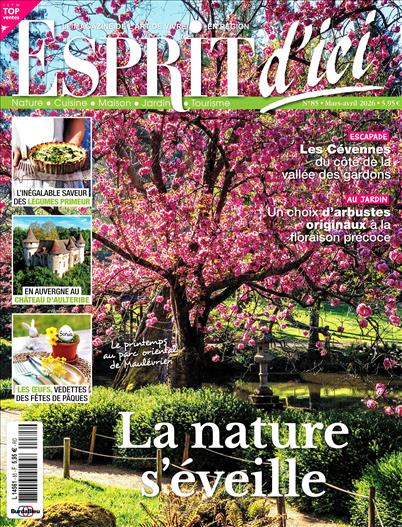 surf-session-preview