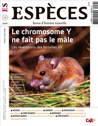 surf-session-preview