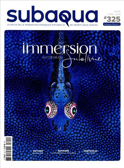 surf-session-preview