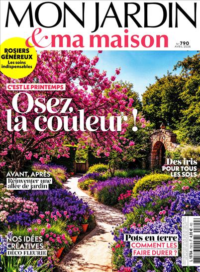 surf-session-preview