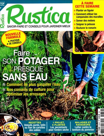 surf-session-preview