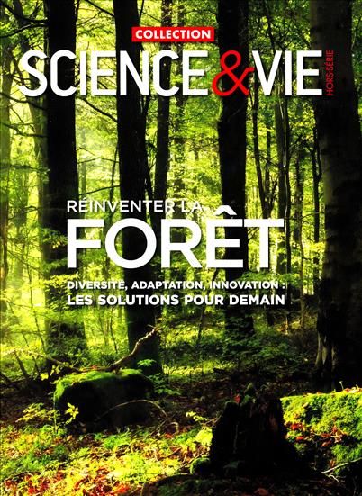 surf-session-preview