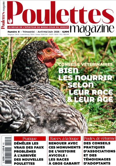 surf-session-preview