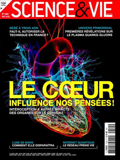 surf-session-preview